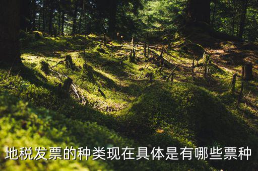 地稅發票的種類現在具體是有哪些票種