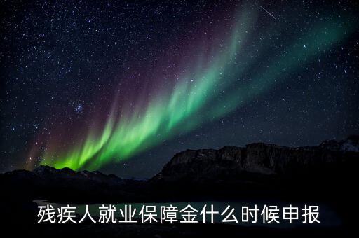 殘疾人就業保障金什么時候申報
