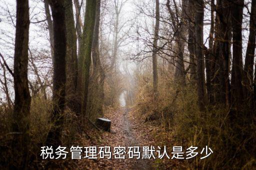 湖北國稅盤原始密碼是什么意思，湖北地稅網絡發票登陸密碼是什么急急急