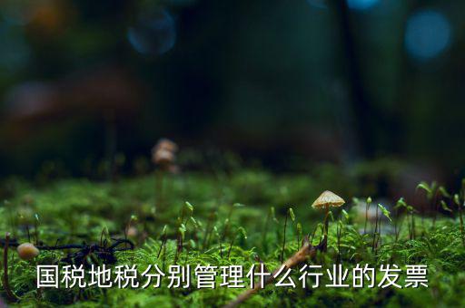 國稅地稅分別管理什么行業的發票