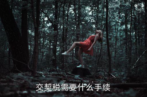 交契稅需要什么手續