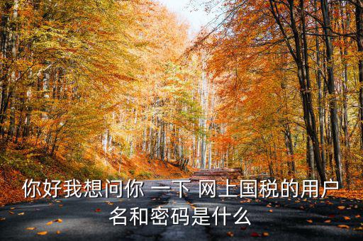 國稅登陸名和密碼是什么意思，國稅第一次網上申報的登陸密碼是什么
