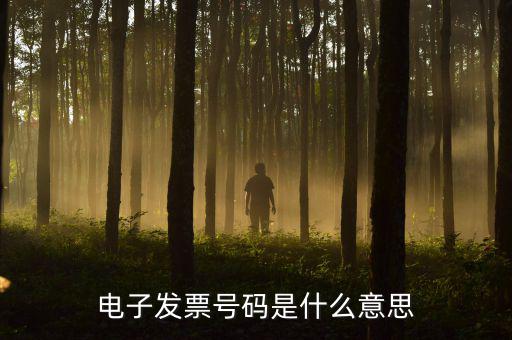 電子發票號碼是什么意思