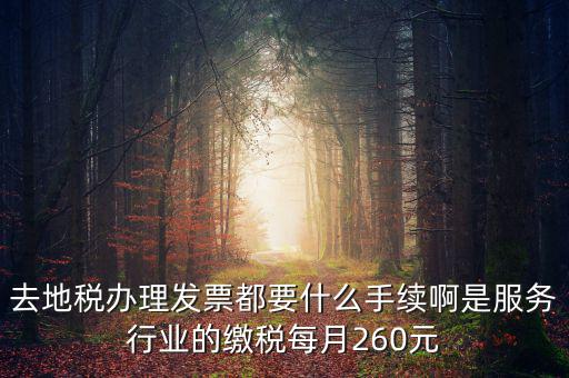 去地稅辦理發票都要什么手續啊是服務行業的繳稅每月260元