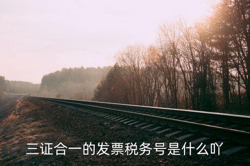 三證合一的發票稅務號是什么吖
