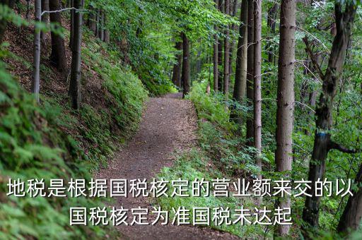 地稅定稅是根據什么定的，問題國稅和地稅的定稅依據是什么