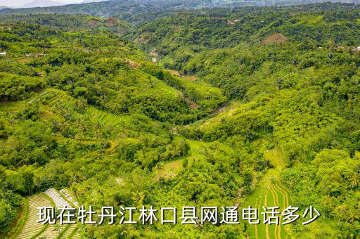 林口縣稅務局電話號碼是什么，現在牡丹江林口縣網通電話多少