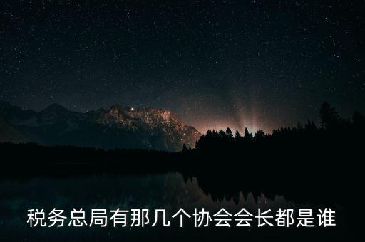 稅務總局有那幾個協會會長都是誰