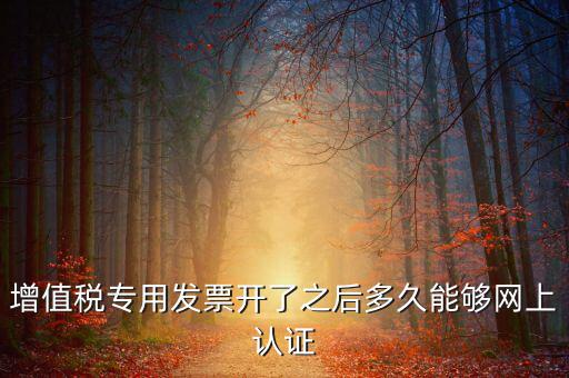 增值稅專用發(fā)票開(kāi)了之后多久能夠網(wǎng)上認(rèn)證