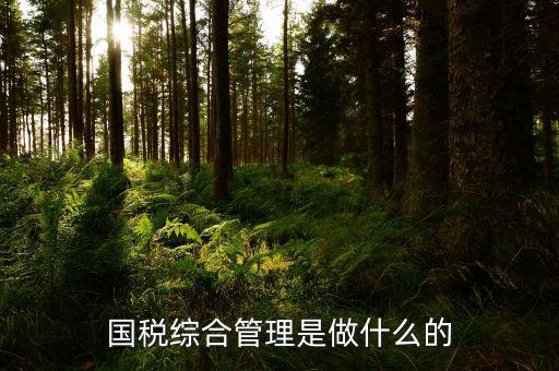 國稅綜合業務是什么，國稅綜合管理是做什么的