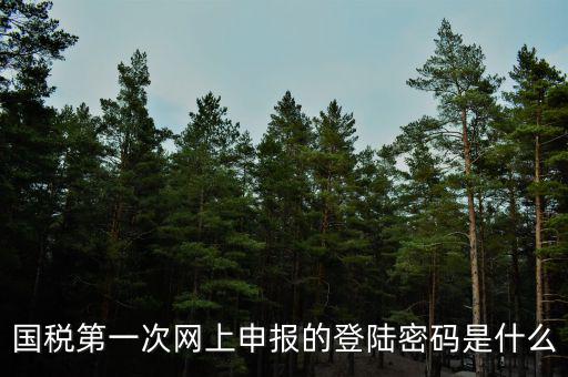 國稅第一次網上申報的登陸密碼是什么