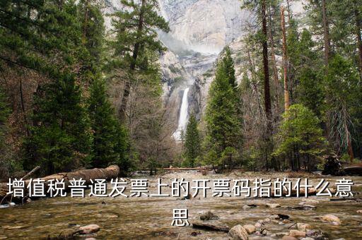 增值票的開票碼是什么意思，增值稅普通發票上的開票碼指的什么意思