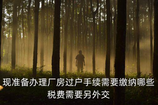 現準備辦理廠房過戶手續需要繳納哪些稅費需要另外交