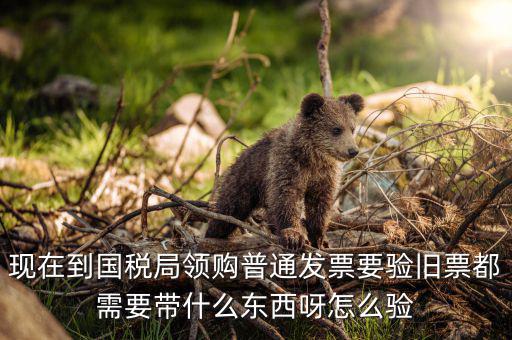 發票驗舊都需要帶什么，現在到國稅局領購普通發票要驗舊票都需要帶什么東西呀怎么驗