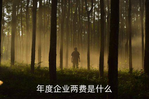 年度企業兩費是什么