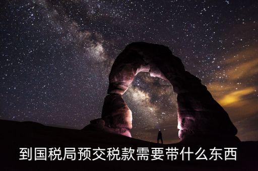 預繳稅金需要什么資料，到國稅局預交稅款需要帶什么東西
