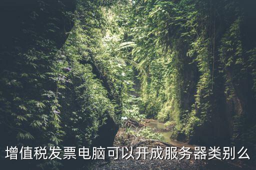 增值稅發票電腦可以開成服務器類別么