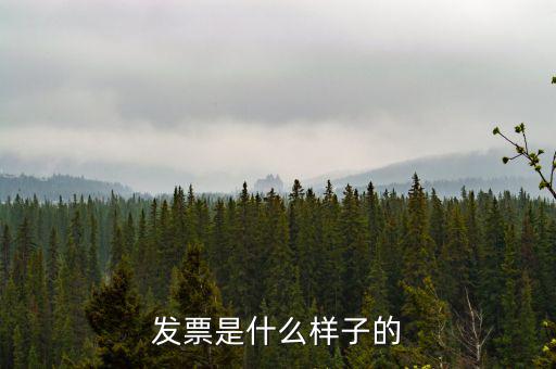 發票是什么樣子的