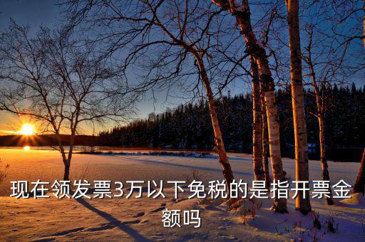 3萬免稅免的是什么稅，小規模納稅人月收入3萬元以下免哪些稅