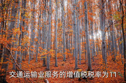 11稅率的服務包括什么，營改增后11個點稅包括哪些內容