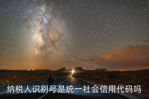 納稅人識別號 社會統一信用代碼是什么意思，納稅人識別號就是統一社會信用代碼嗎