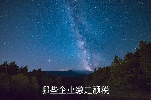 什么公司定額征稅，哪些企業繳定額稅