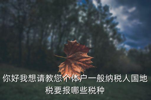 你好我想請教您個體戶一般納稅人國地稅要報(bào)哪些稅種
