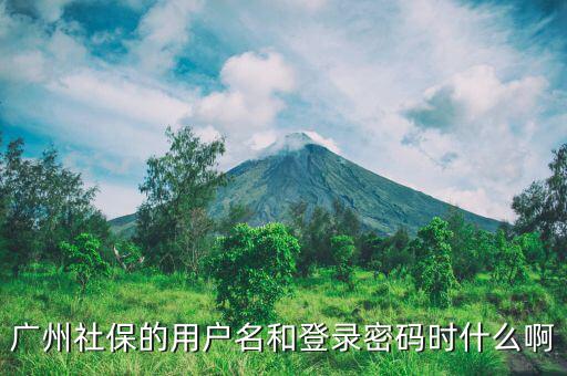 地稅社保用戶名是什么，南京這邊可以國稅扣稅款一個賬號基本戶地稅扣款比如社保