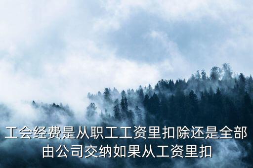 工會經費根據什么扣除，職工工會經費準予扣除標準為多少