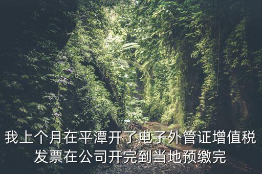 我上個(gè)月在平潭開(kāi)了電子外管證增值稅發(fā)票在公司開(kāi)完到當(dāng)?shù)仡A(yù)繳完