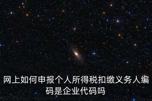 網上如何申報個人所得稅扣繳義務人編碼是企業代碼嗎