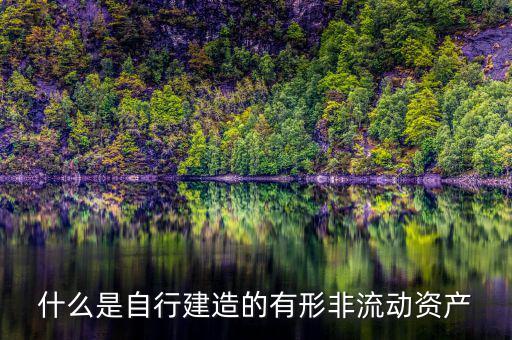 什么叫自建不動產，自建不動產不共擔風險的投資行為