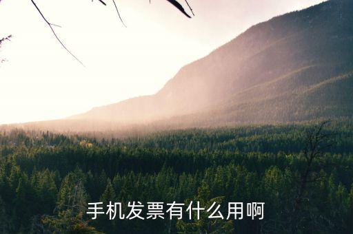 發票小助手有什么用，微信發票小助手小程序怎么用