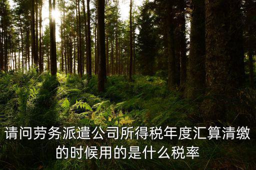 派遣選擇什么稅目，勞務派遣公司應交什么稅種