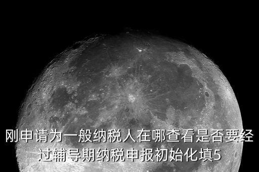 剛申請為一般納稅人在哪查看是否要經過輔導期納稅申報初始化填5