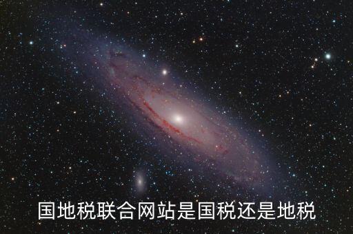 國地稅聯合辦稅是什么，國地稅聯合稅費申報什么意思