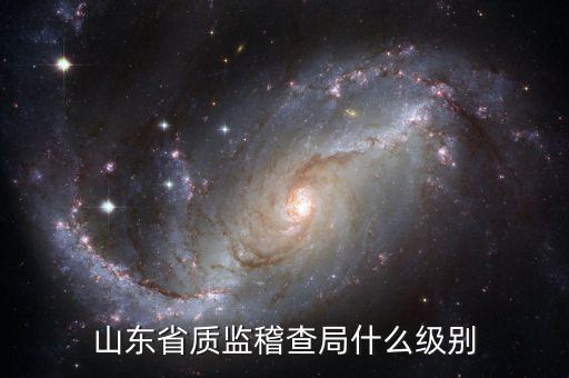 稽查局什么級別，山東省質監稽查局什么級別