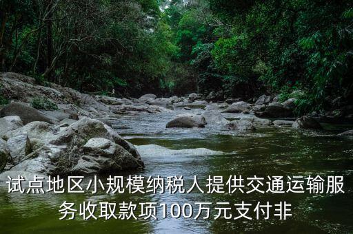 什么向試點地區納稅人支付費用，4試點地區內一般納稅人向試點地區內一般納稅人支付費用取得增值