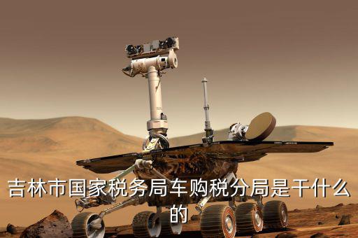 吉林市國家稅務局車購稅分局是干什么的