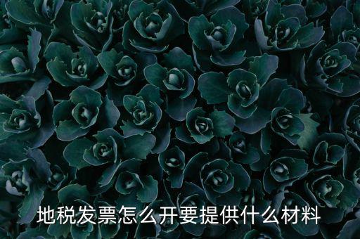 地稅發票怎么開要提供什么材料