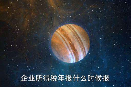 企業所得稅年報什么時候報