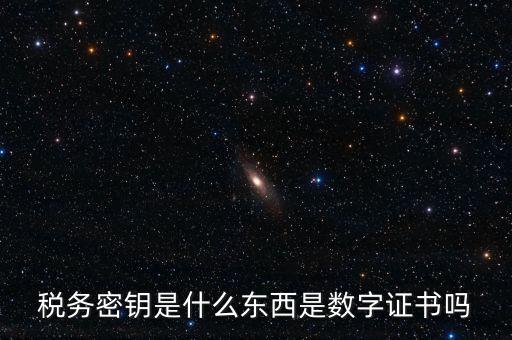 稅務密鑰是什么東西是數字證書嗎