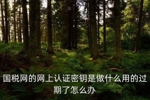 國稅網的網上認證密鑰是做什么用的過期了怎么辦