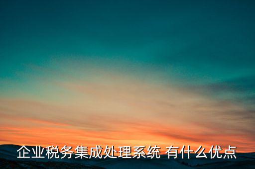 企業稅務集成處理系統 有什么優點