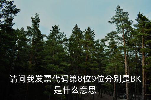 請問我發票代碼第8位9位分別是BK是什么意思