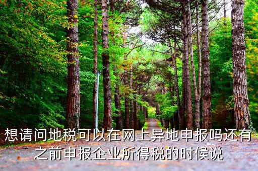 什么叫異地稅，想請問地稅可以在網上異地申報嗎還有之前申報企業所得稅的時候說
