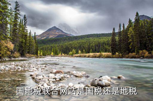 國地稅聯合是什么，國地稅聯合稅費申報什么意思