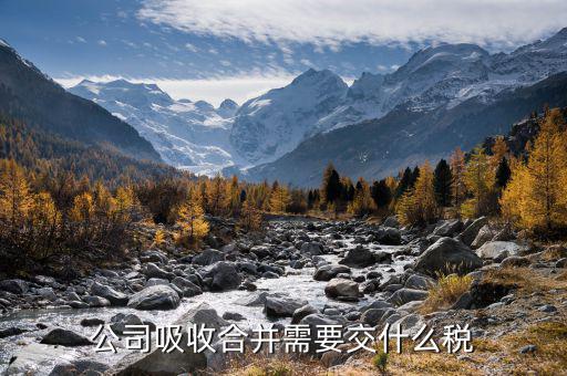 企業重組都交什么稅，企業是需要交哪些稅