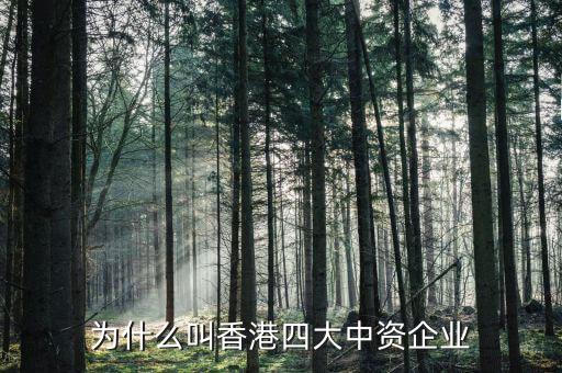 什么叫中資控股企業，為什么叫香港四大中資企業