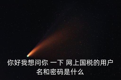 國稅的登錄密碼是什么意思，國稅第一次網上申報的登陸密碼是什么